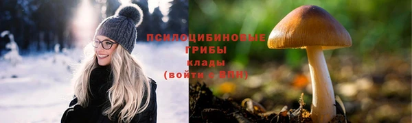 ГАЛЛЮЦИНОГЕННЫЕ ГРИБЫ Верея